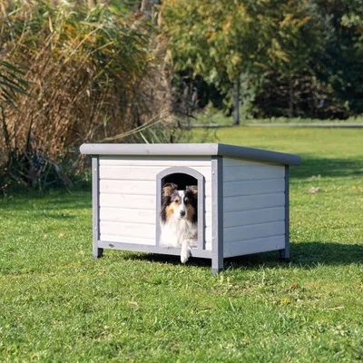 Hund i en grå og hvid hundehytte af træ med fladt tag, på en grøn græsplæne udendørs.