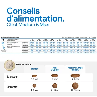 Recommandation d'alimentation pour chiot medium et maxi avec indications des quantités selon le poids et l'âge, comparaison des tailles de croquettes Starter, Mini Puppy, Medium et Maxi Puppy avec diamètre et épaisseur. Recommandation d'alimentation pour chiot medium et maxi avec indications des quantités selon le poids et l'âge, comparaison des tailles de croquettes Starter, Mini Puppy, Medium et Maxi Puppy avec diamètre et épaisseur.