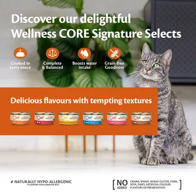 Wellness CORE Signature Selects: cooked in sauce, complete and balanced, boosts water intake, grain-free. Delicious flavours, hypo-allergenic, no added grains, gluten, corn, soya or dairy.