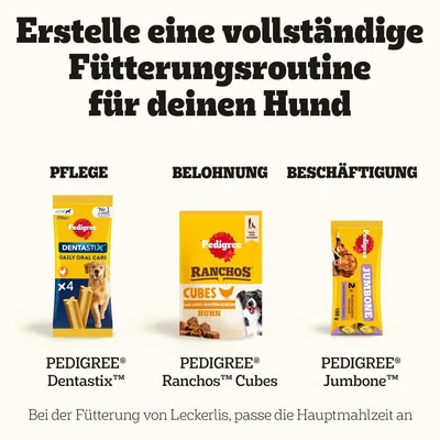 Pedigree Riesenknochen mit Rind