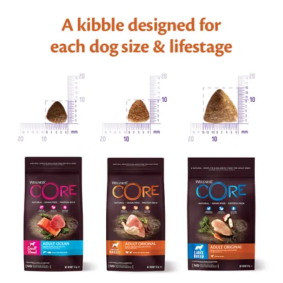 Image shows three kibble sizes with rulers and matching food bags, highlighting different kibble shapes for small, medium, and large breeds at various life stages.