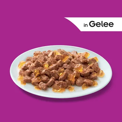 Kousky masa v želé na bílém talíři, v pravém horním rohu text 'in Gelee'