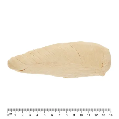 Helles, längliches Produkt mit einer Länge von ca. 14 cm, dargestellt neben einem Lineal zur Grössenangabe.