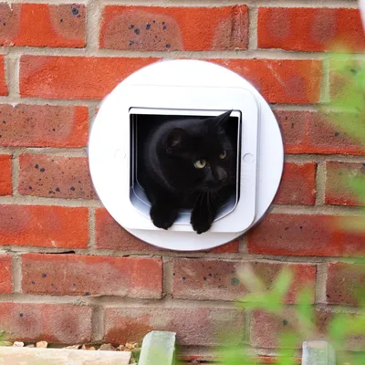 A black cat using a white pet door installed in a brick wall, demonstrating the product's function for allowing pets to pass through walls.