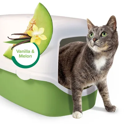 Katzentoilette mit grünem Boden und weißem Deckel, Duftnote Vanilla & Melon. Katze schaut aus dem Eingang.