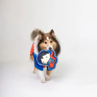 Warner Bros™ DC Gioco per cani Superman