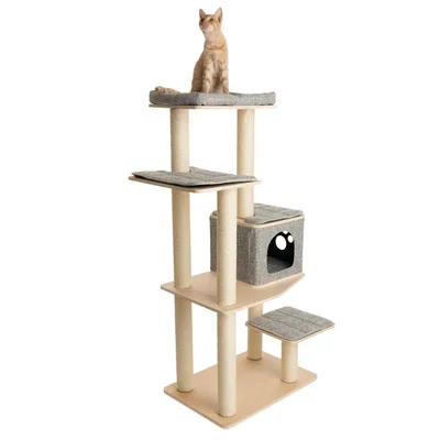 Kratzbaum mit mehreren Ebenen, Sisalstämmen und gepolsterten Liegeflächen. Integrierte Höhle mit Pfotenmotiv. Katze sitzt auf oberster Plattform.