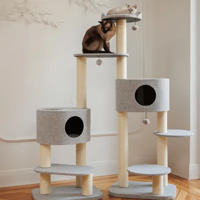 Kratzbaum mit mehreren Ebenen, Sisalstämmen und grauen Liegeflächen. Zwei Katzen sitzen auf den oberen Plattformen.