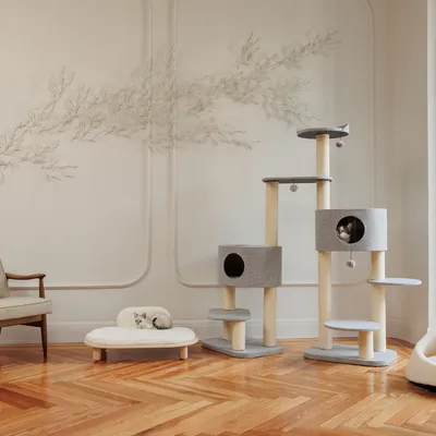 Cat tree with multiple levels, two caves and hanging play balls. Next to it a cat bed with a lying cat.