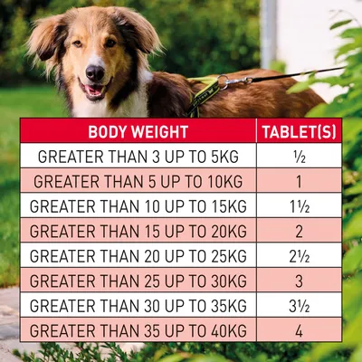 Dosage table: for body weight over 3kg to 5kg give half tablet, 5-10kg one tablet, 10-15kg one and a half, 15-20kg two, 20-25kg two and a half, up to 40kg four tablets.