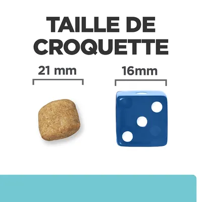 Taille de croquette : 21 mm, comparée à un dé bleu de 16 mm. Texte visible : TAILLE DE CROQUETTE, 21 mm, 16 mm.