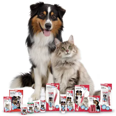 Selection of dental care products including toothbrushes, toothpaste, sprays and treats displayed in packaging with images of a dog and a cat.