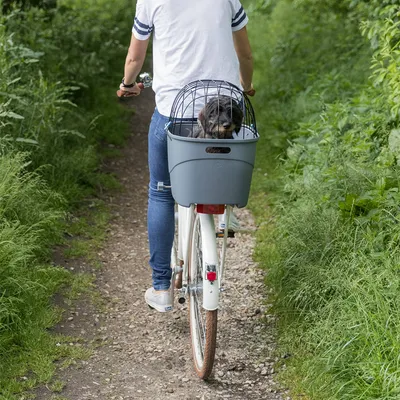 Panier arrière pour vélo en plastique gris avec grille métallique, contenant un petit chien noir, fixé sur le porte-bagages d’un vélo blanc conduit par une personne en jean et t-shirt blanc.