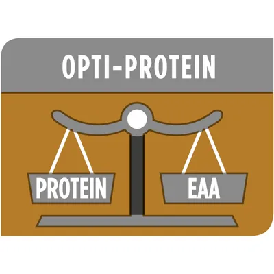 Diagram showing opti-protein with balanced scales labelled protein and EAA, highlighting a balance between protein and essential amino acids.