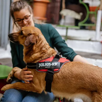 JULIUS-K9 IDC® POWAIR нагръдник, оранжев JULIUS-K9 IDC® POWAIR нагръдник, оранжев