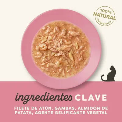 Applaws Cat en salsa 12 x 70 g - Pack Ahorro