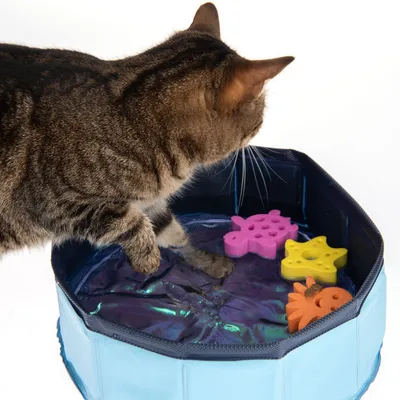 Gatto che gioca con zampa in una piscina pieghevole azzurra, con tre giochi galleggianti a forma di pesce, stella e fiore colorati.