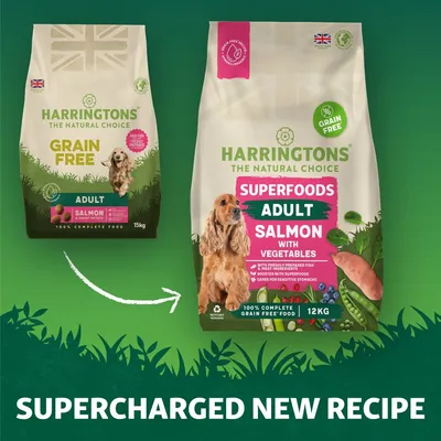 Comparison of old and new Harringtons grain free adult salmon dog food packaging, highlighting superfoods, vegetables, and a supercharged new recipe.