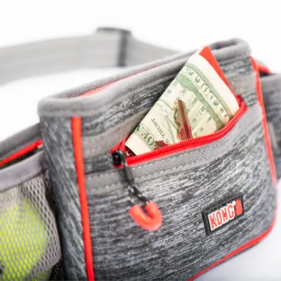 Marsupio grigio con cerniera rossa e logo KONG, scomparto con banconote e una carta.