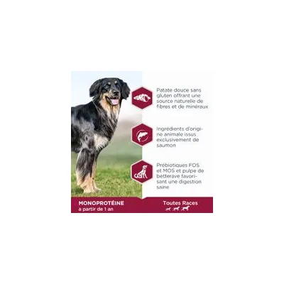 Eukanuba Adult Mono-Protein au saumon Eukanuba Adult Mono-Protein au saumon