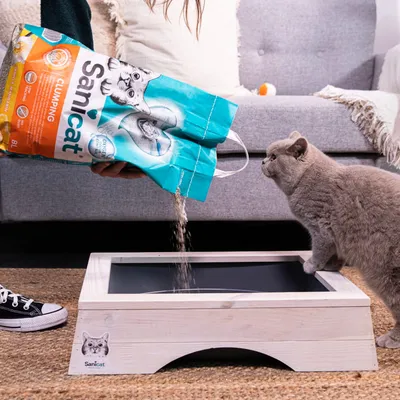 Sanicat Vanilla Mandarin Clumping Cat Litter