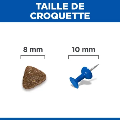 Comparaison de la taille des croquettes : une croquette de 8 mm de diamètre à côté d'une punaise de 10 mm de diamètre.