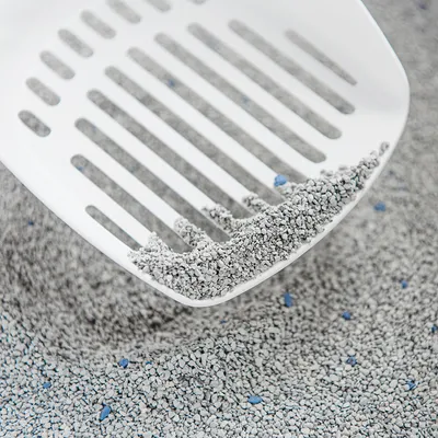 White litter scoop with fine grey cat litter and blue particles. Shows the scoop's function when cleaning cat litter.