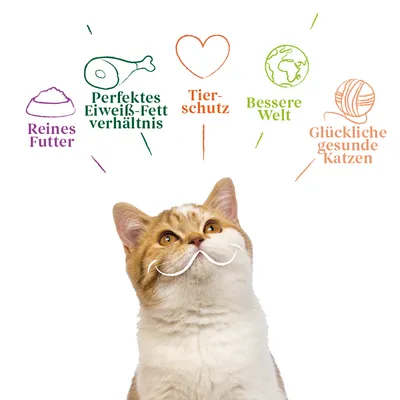 Reines Futter, perfektes Eiweiss-Fett-Verhältnis, Tierschutz, bessere Welt, glückliche gesunde Katzen. Illustration mit Katze darunter.