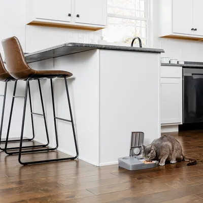 Graue Katze frisst aus einem automatischen Futterspender in einer modernen Küche mit Holzboden und weissen Schränken.