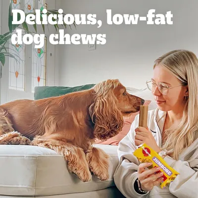 Woman holding Pedigree Jumbone dog snack, text in image: Delicious, low-fat dog chews.