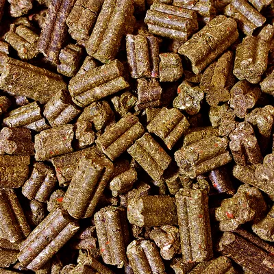 Vue rapprochée de granulés alimentaires marron, formes cylindriques et étoilées, sans emballage ni marque visible.