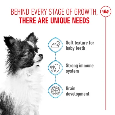 Behind every stage of growth, there are unique needs. Soft texture for baby teeth, strong immune system, brain development.
