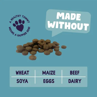 Dry food shown with text: Made without wheat, maize, beef, soya, eggs, dairy. Includes message: A healthy tummy means a happier dog.
