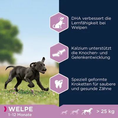 Hvalpefoder til hunde fra 1-12 måneder, over 25 kg. DHA forbedrer læringsevne, calcium støtter knogleudvikling, specielt formede kroketter for sunde tænder.
