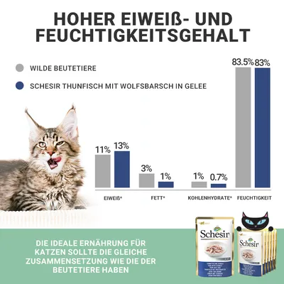 Hoher Eiweiss- und Feuchtigkeitsgehalt. Vergleich: Wilde Beutetiere vs. Schesir Thunfisch mit Wolfsbarsch in Gelee. Ideale Ernährung für Katzen wie Beutetiere. Produktabbildung unten.