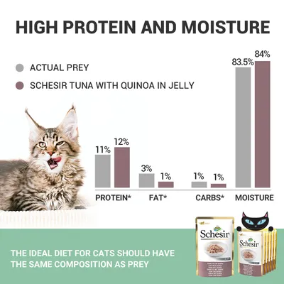 Usporedna tablica sastava: Schesir Tuna with Quinoa in Jelly ima 12 % proteina, 1 % masti, 1 % ugljikohidrata, 84 % vlage; prikazani proizvodi Schesir i slika mačke.