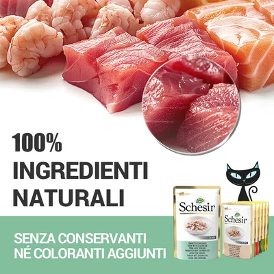 Schesir, 100% ingredienti naturali, senza conservanti né coloranti aggiunti. Immagine di pesce crudo e confezioni Schesir per gatti visibili in basso a destra.