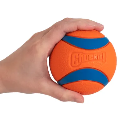 Chuckit! Palla gioco Ultra per cani - Set %: 2 x Ø 8,9 cm (XL) Chuckit! Palla gioco Ultra per cani - Set %: 2 x Ø 8,9 cm (XL)
