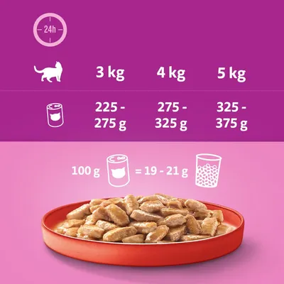 Conseils d’alimentation pour chat : 3 kg 225–275 g, 4 kg 275–325 g, 5 kg 325–375 g par jour. 100 g pâtée équivaut à 19–21 g croquettes. Bol de nourriture visible.