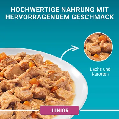 Hochwertige Nahrung mit hervorragendem Geschmack. Junior-Futter mit Lachs und Karotten, abgebildet auf einem Teller.