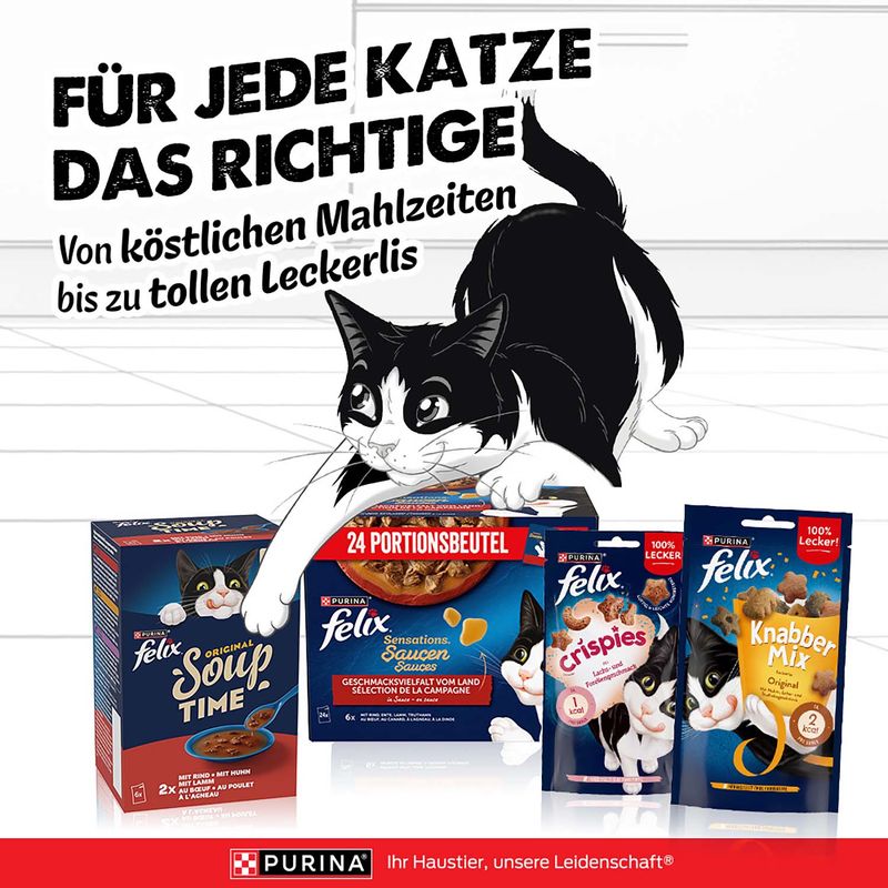 Jumbopack Felix "Sensations" Pouches 120 x 85 g