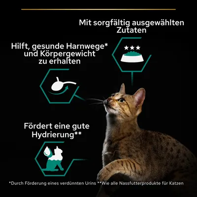 Mit sorgfältig ausgewählten Zutaten. Hilft, gesunde Harnwege und Körpergewicht zu erhalten. Fördert eine gute Hydrierung durch verdünnten Urin wie alle Nassfutterprodukte für Katzen.