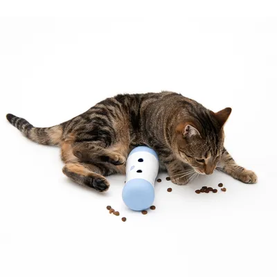 Braun gestreifte Katze spielt mit einem blauen Futterspender, aus dem Trockenfutter herausfällt.