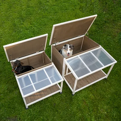 Deux niches en bois avec toits ouvrants, l’une petite et l’autre grande, chacune contenant un chien. Toits partiellement transparents, structure blanche, posées sur pelouse.