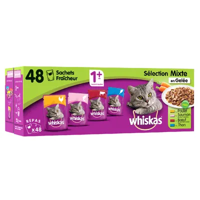 Whiskas Sélection Mixte en Gelée, 48 sáčků pro kočky od 1 roku, příchutě: kuře, losos, hovězí, tuňák. Viditelné balení a obrázek krmiva v želé.
