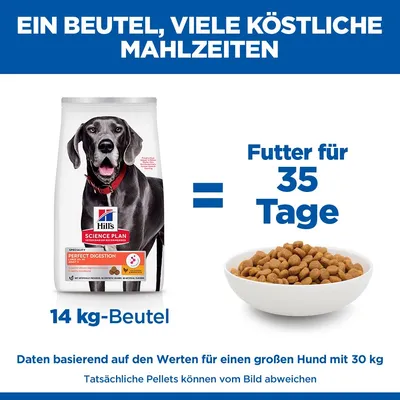 Hill's Science Plan Perfect Digestion Adult Large mit Huhn & braunem Reis