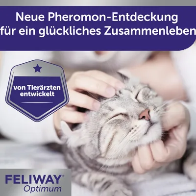 FELIWAY Optimum. Neue Pheromon-Entdeckung für ein glückliches Zusammenleben, von Tierärzten entwickelt.