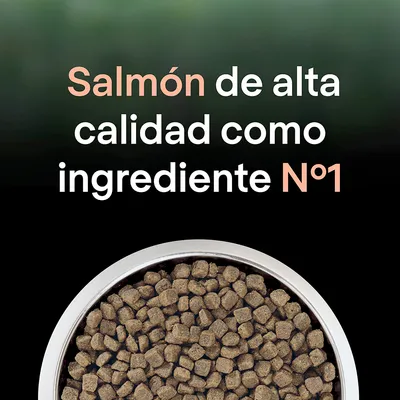 Salmón de alta calidad como ingrediente Nº1