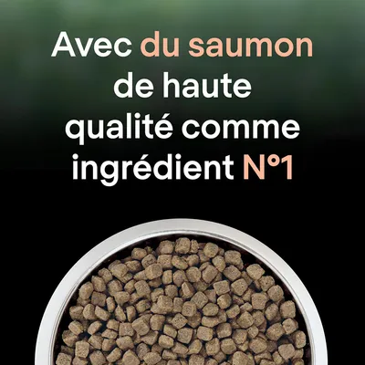 Avec du saumon de haute qualité comme ingrédient N°1