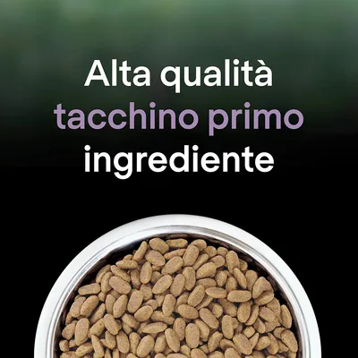 Alta qualità tacchino primo ingrediente